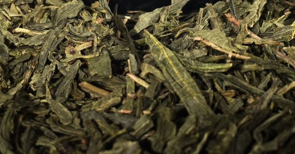10 Reasons to Drink Green Tea