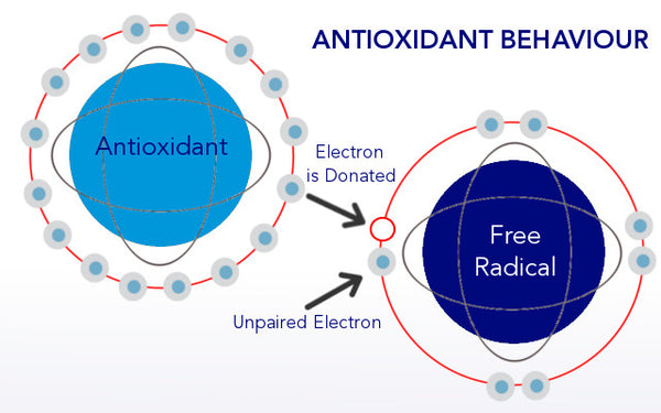 Antioxidants and Free Radical Damage