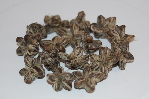 Star of China - White Tea from Imperial Tea Garden®
